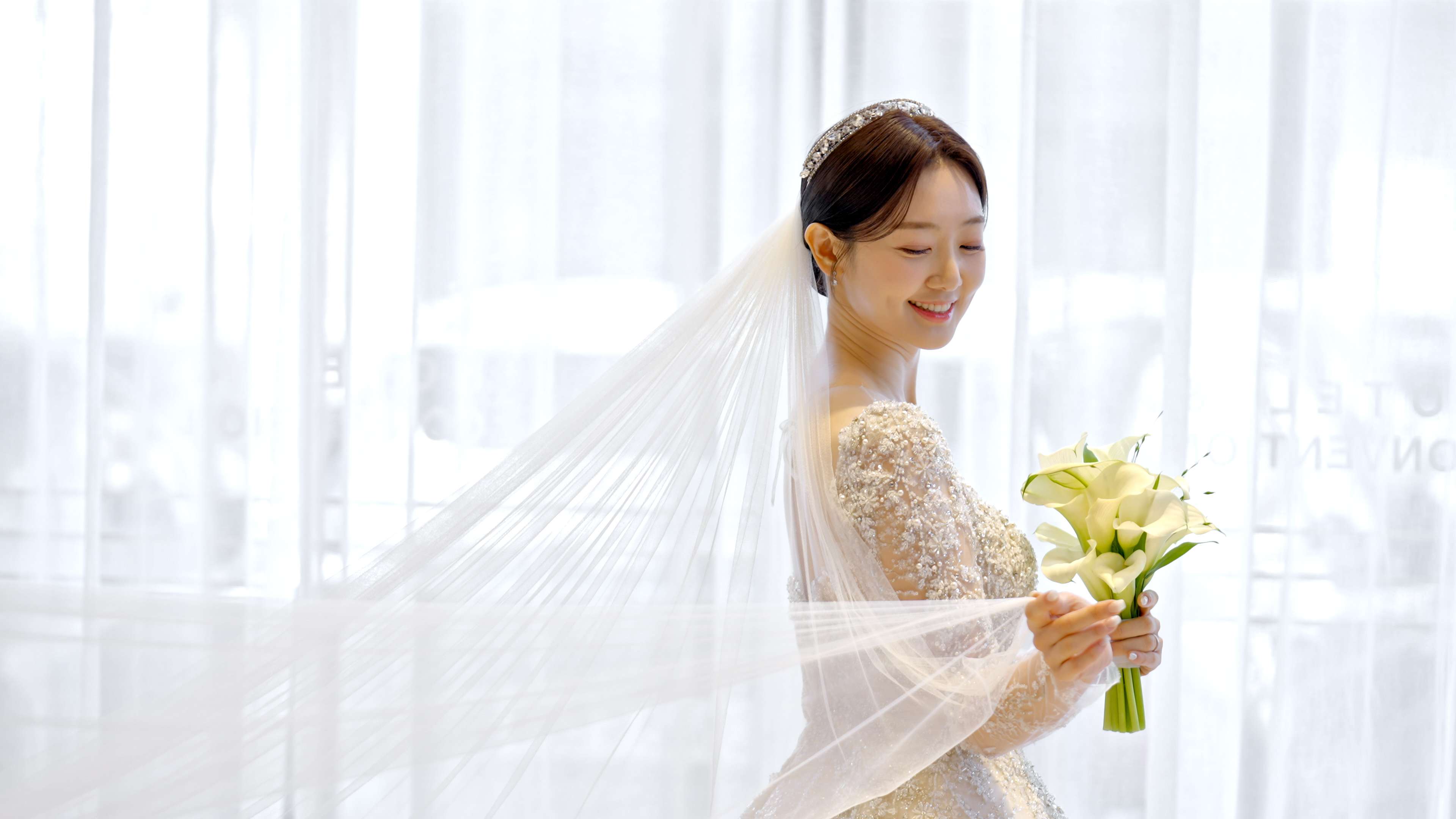 대전 루이비스 아모리스홀